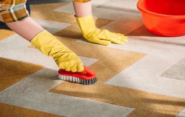 What to Expect When You Hire a Carpet Cleaning Company