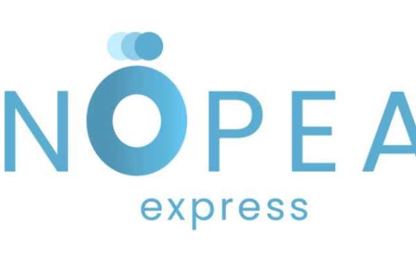 Sobre Nópea Express - reparación portatiles en ALHENDÍN, Granada. España