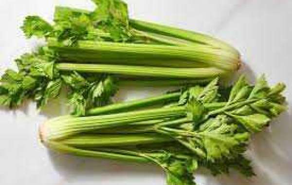 Unlocking the Surprising Benefits of Celery for Sexual Wellness