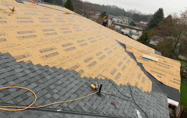 Top level Roof Construction Company in  Canada