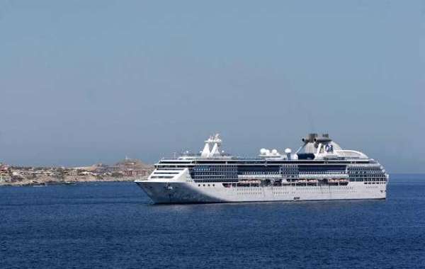 Making Modern Cruise Ship Tracking Systems Safe for Passengers