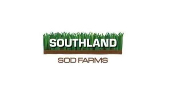 Southland Sod Farms: Greening Your Landscape