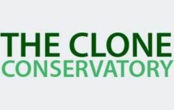 Order Cannabis Seeds Online from The Clone Conservatory