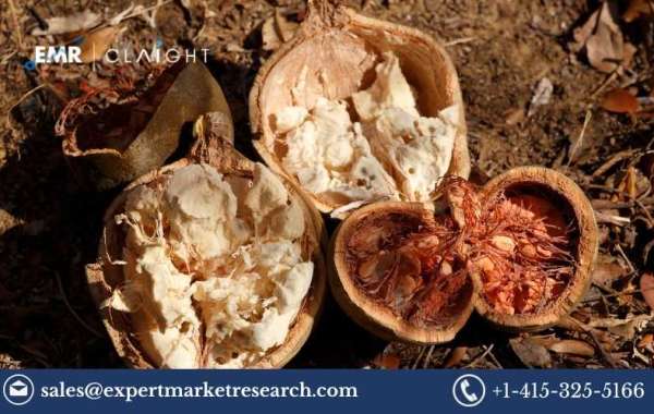Baobab Ingredient Market Share, Size, Trends and Report 2024-2032