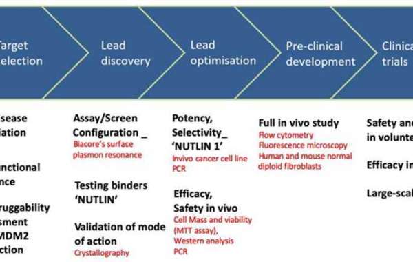 CD BioSciences Pioneers the Frontier of Marine Drug Development