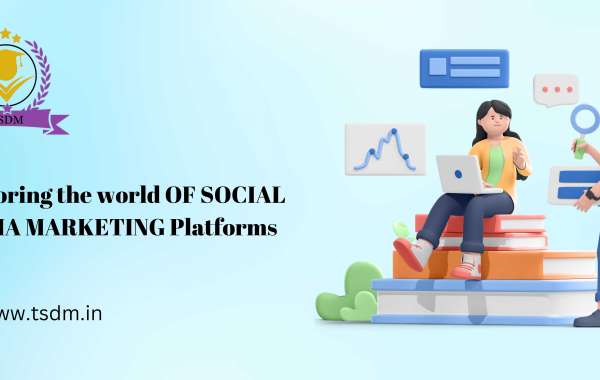 Exploring the World of Social Media Marketing Platforms