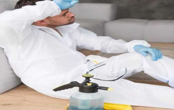 The Ultimate Guide to Stain Removal Services in Dubai