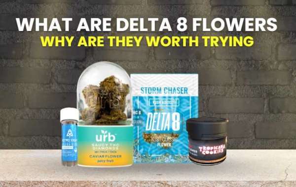 The Future of Delta 8 Hemp Flower: Innovations and Developments