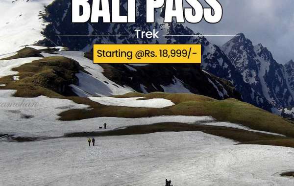 The Bali Pass Trek: An Adventure with Himalayan Daredevils