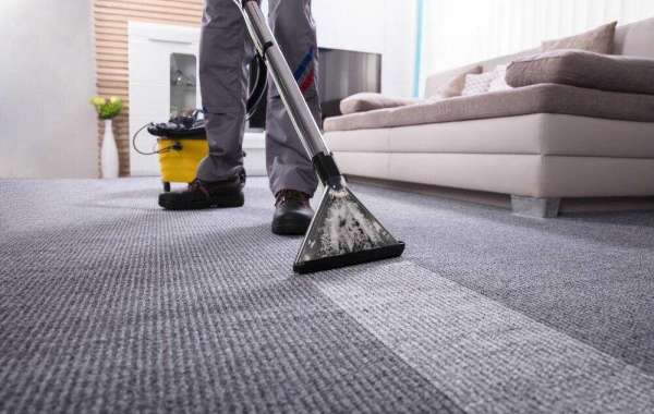 Why You Should Consider Professional Carpet Cleaning Services