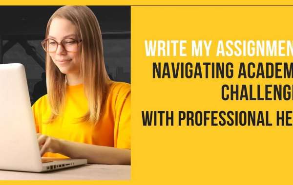 Write My Assignment: Navigating Academic Challenges with Professional Help