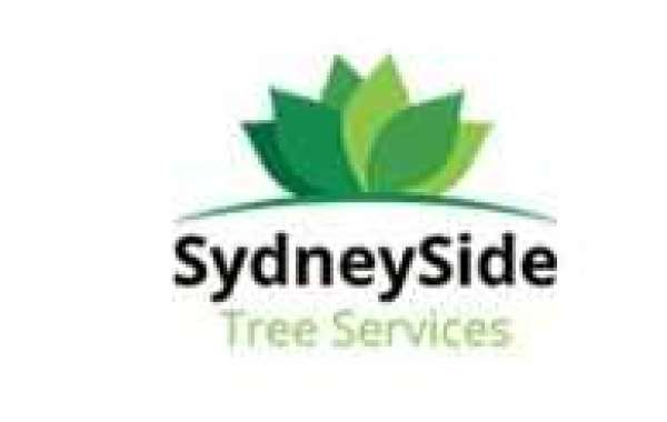 Searching for Emergency Tree Services Sydney?