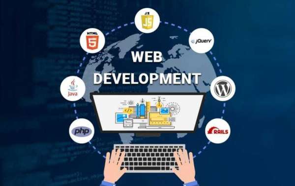 Professional Web Development Services in the USA