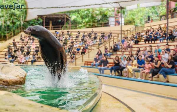 Unlocking Adventure: Singapore Zoo Tickets on Groupon