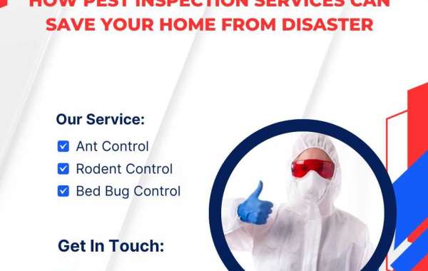 How Pest Inspection Services Can Save Your Home from Disaster