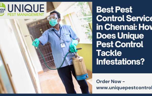 Best Pest Control Services in Chennai: How Does Unique Pest Control Tackle Infestations?