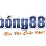 Bong88 ibet profile picture