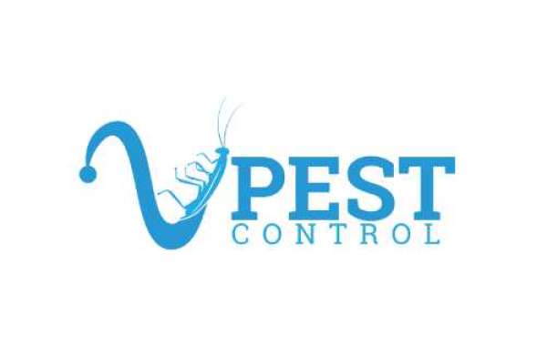 Effective Pest Control Services in Miami - V Pest Control