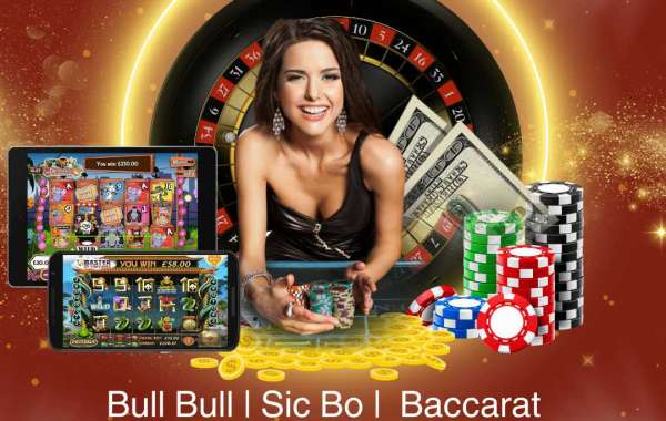 Top 5 Dream Gaming Live Casino Games in 2024 - Play Now