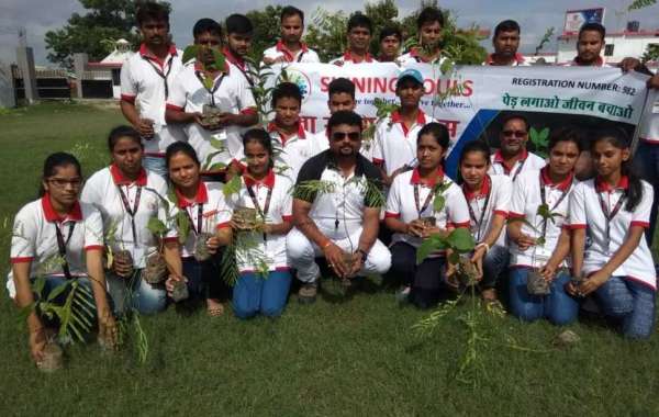 Shining Souls Trust: Leading the Green Revolution as the top NGO in India.