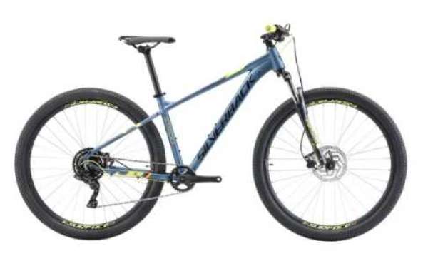 Silverback Mountain Bike