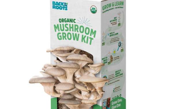 Cultivating Brand Growth: The Power of Custom Mushroom Boxes