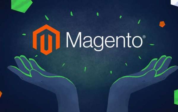 Elevate Your E-Commerce Business with a Magento SEO Consultant