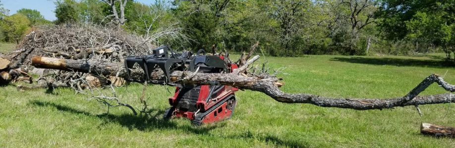 Top Point Tree Cover Image