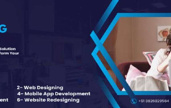 Professional Website Designing Services in Delhi NCR, India: The Global Infotech