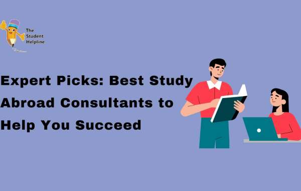 Expert Picks: Best Study Abroad Consultants to Help You Succeed