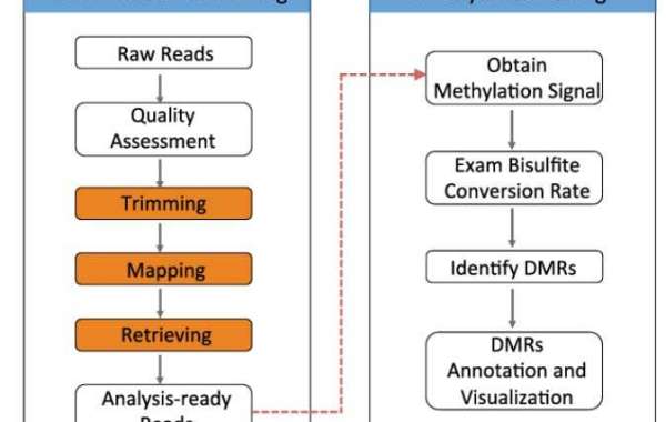 DNA Methylation Sequencing Methods Overview