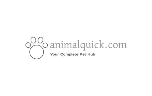 Discover the Wonders of Wildlife with Animalquick