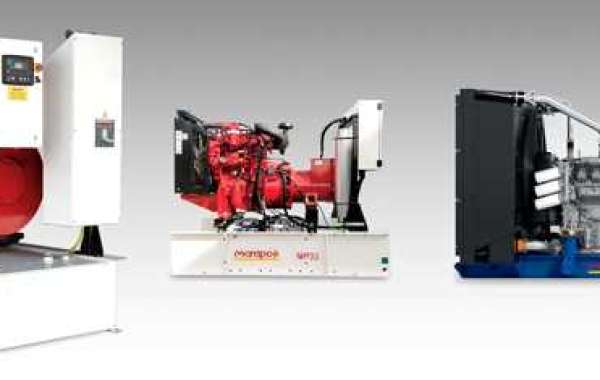 Diesel Generator Service