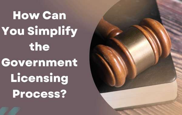 How Can You Simplify the Government Licensing Process?