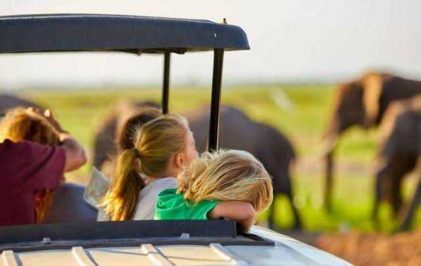 Discover the Charm of South African Lodges: A Unique Safari Experience