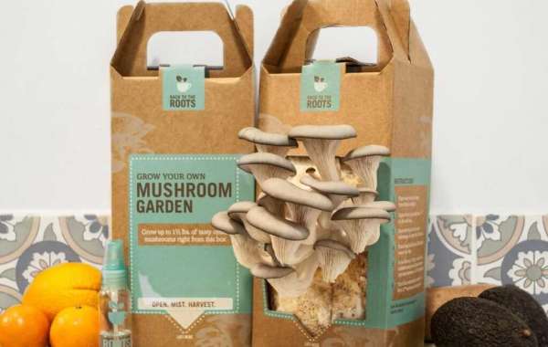 Custom Mushroom Boxes: Unique Packaging for Fresh Mushrooms"