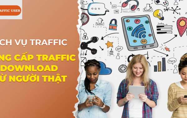 B Traffic User Web