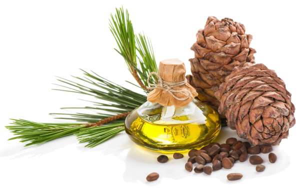 Virginia Cedarwood: A Natural Aroma that Is Ageless for Happiness and Longevity