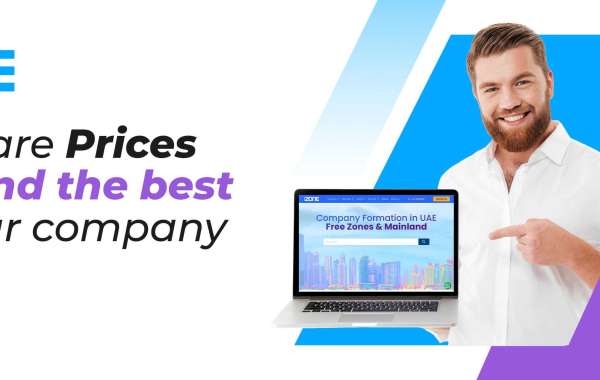 PRO Services and Company Formation Services: Simplifying Business Setup