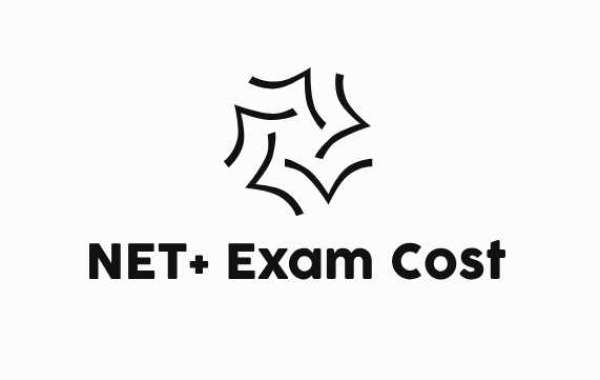 Lowering Your NET+ Exam Cost with Trusted Exam Dumps