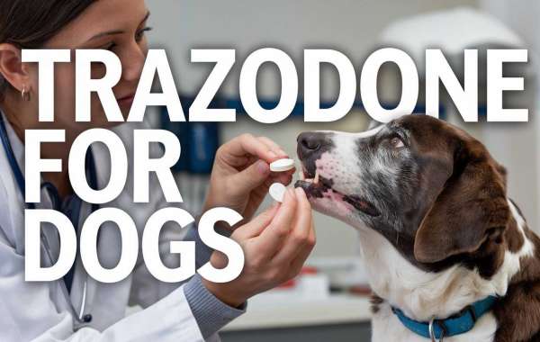 Help Your Dog Relax with Trazodone