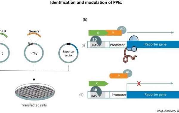 Mammalian Two-hybrid for Protein-Protein Interaction Analysis