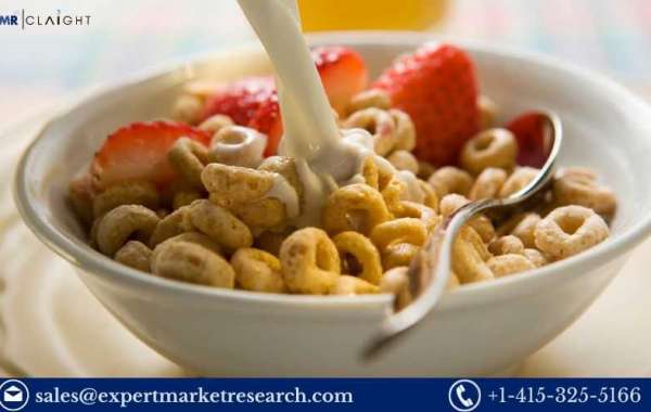 Breakfast Cereal Manufacturing Plant Project Report 2024: Setup and Cost