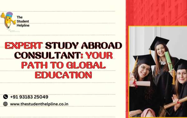 Expert Study Abroad Consultant: Your Path to Global Education