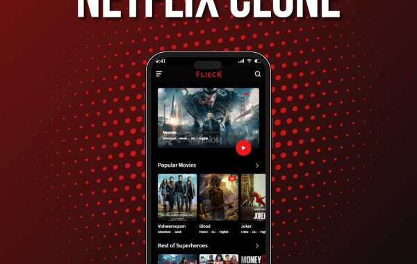 Top 10 Reasons Why a Netflix Clone is in High Demand