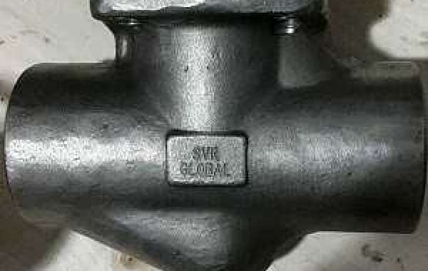 Steam Trap Manufacturers in USA