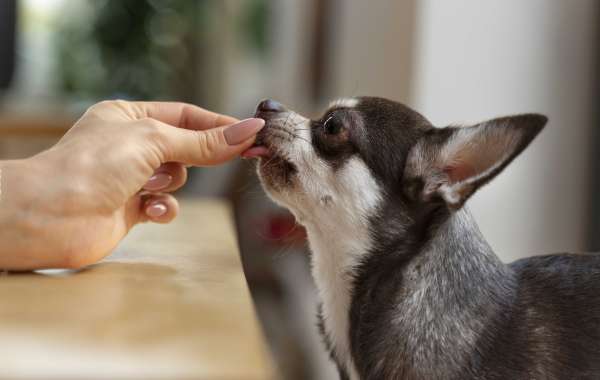 salt lick for animals