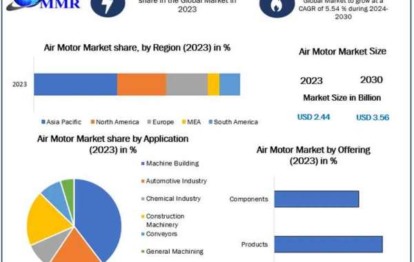 Air Motor Market Global Trends, Market Share, Industry Size, Growth, Sales, Opportunities, and Market Forecast 2030