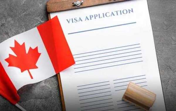 How an Immigration Consultant in Gurgaon Can Unlock Your Future Life