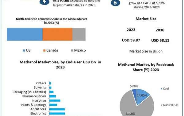 Methanol Market Analysis: APAC's Stronghold and North America's Demand Spike Amid Supply and Price Volatility